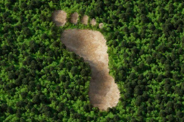 Footprint on green background